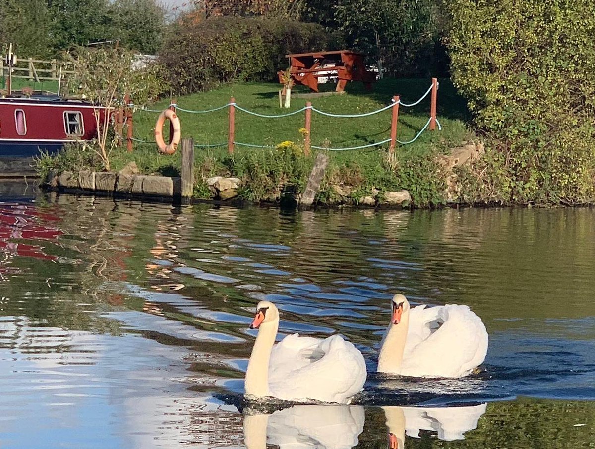 EthelBarge's tweet photo. A few more pics of the canal from yesterday’s Pearl familiarisation trip in the sunshine
#pearlsprogress #lifesbetterbywater https://t.co/GGAdF8WnNg