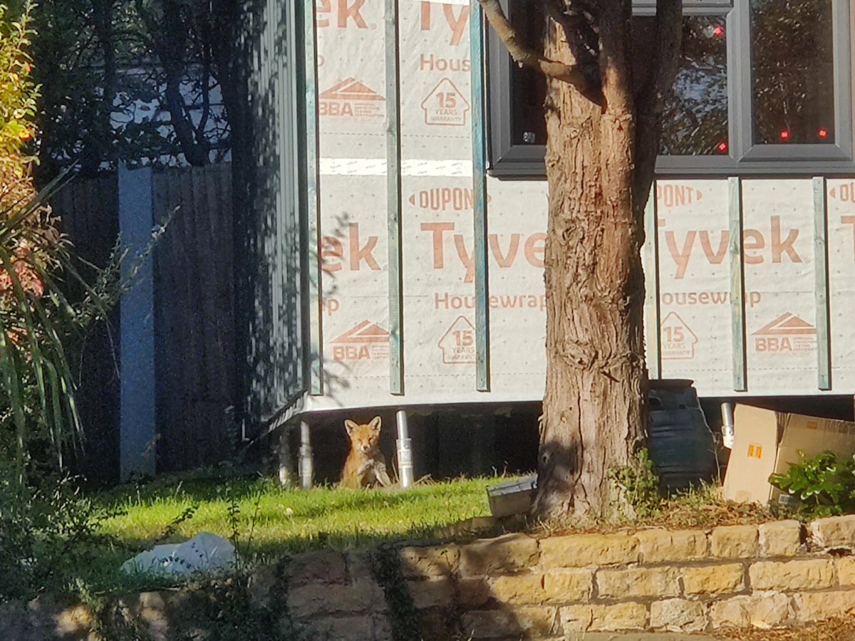 RC2014Towers's tweet photo. My new neighbour has moved in downstairs. https://t.co/kS09XWA3Jl