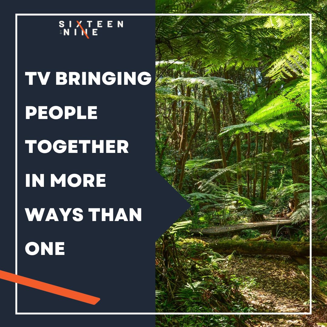 ITV - a great place to bring people together in the jungle and at home! Who will be watching this Sunday? #16x9 #16x9media #TV #ImACeleb #TVadvertising #advertising #ITV #entertainment #realityTV #TVnews