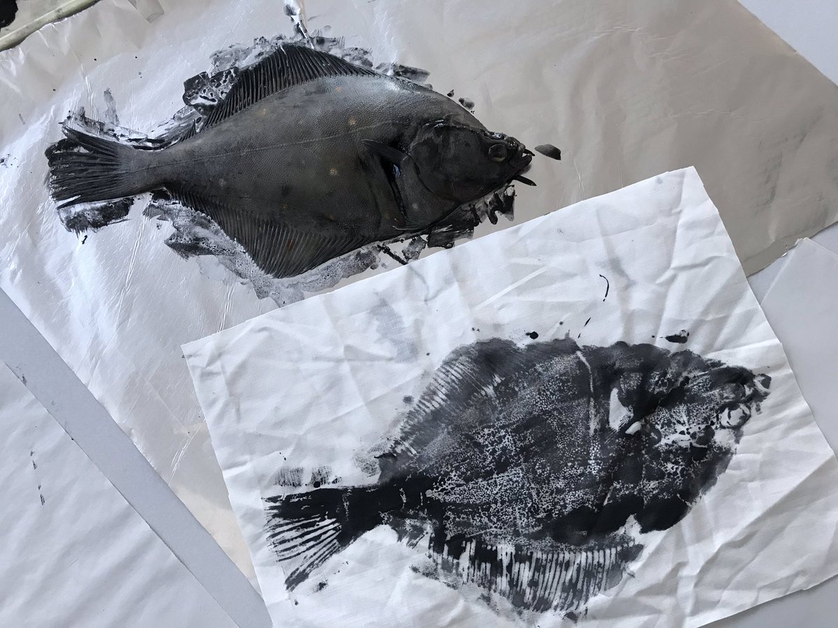 Year 1 are learning about the Ancient art form - Gyotaku. We’ve used careful brushstrokes to add ink to the fish and gently rubbed newsprint, tissue paper and cotton onto the fish to reveal the texture of the scales. All to support their science project. <a href="/priscigeeks/">Primary Science Geeks</a> <a href="/accessart/">Paula Briggs @AccessArt</a>