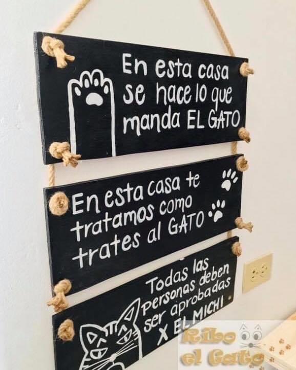 kenymatali's tweet photo. En mi casa Bansh y Kit https://t.co/1KwFlJs8S6