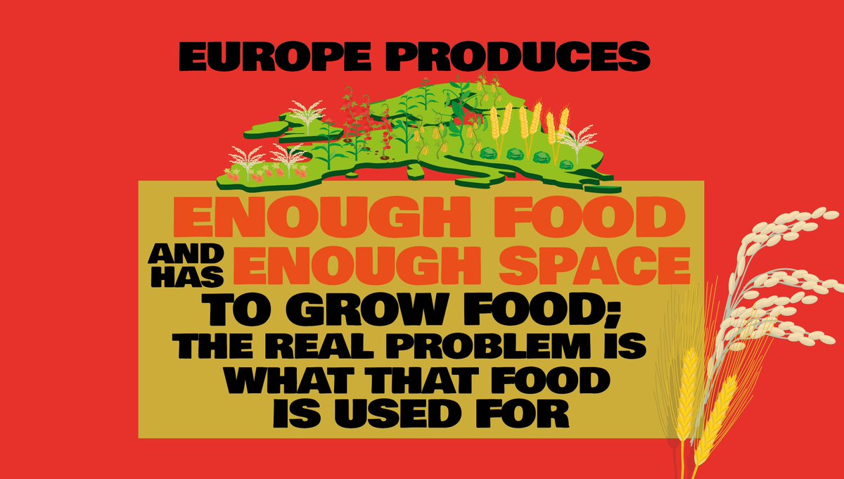 BirdLife Europe & Central Asia tweet media