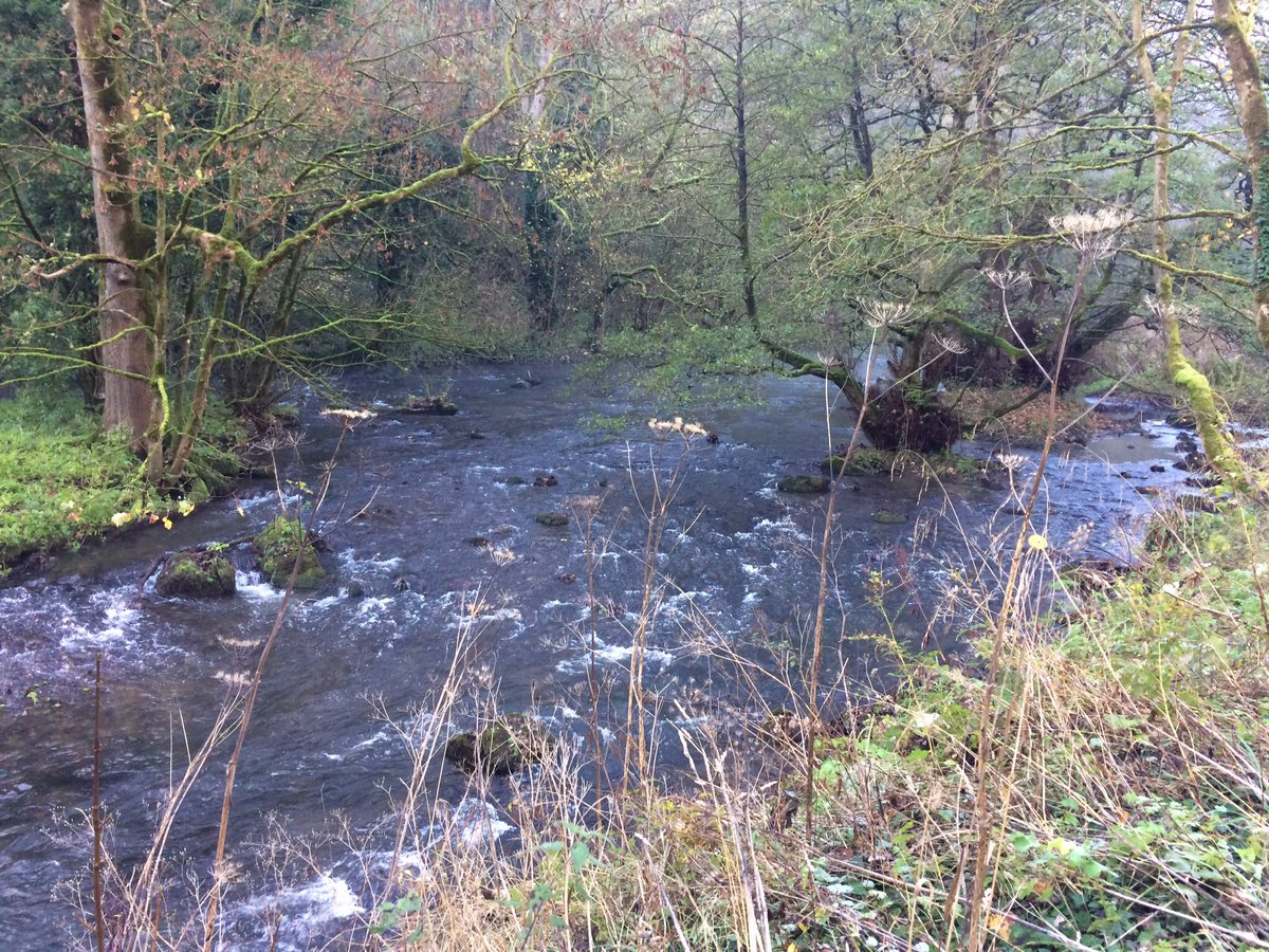 DfsStubbs's tweet photo. Early morning walk along the #Derbyshire #river #Wye between #MillersDale and #LittonMill #dales #Peakdistrict https://t.co/ado7A6V2FN
