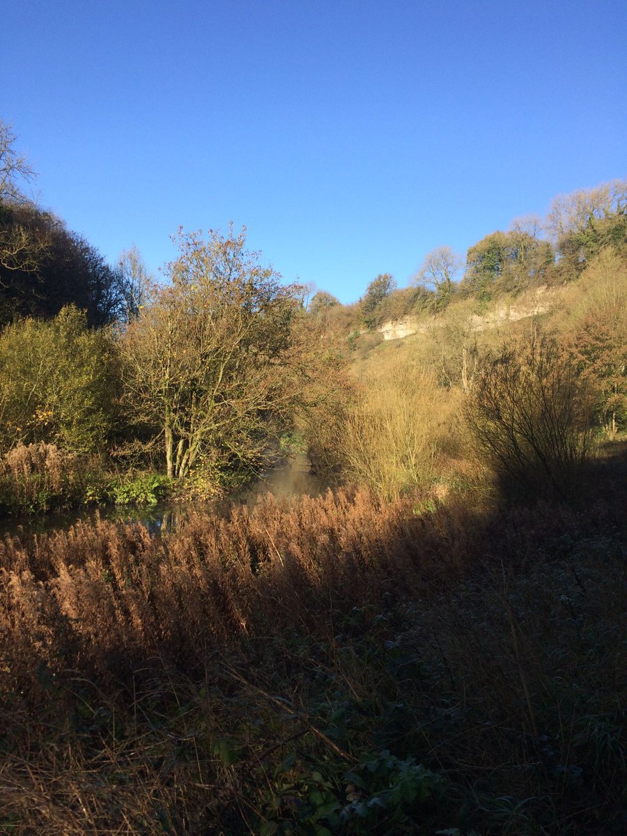 DfsStubbs's tweet photo. Early morning walk along the #Derbyshire #river #Wye between #MillersDale and #LittonMill #dales #Peakdistrict https://t.co/ado7A6V2FN