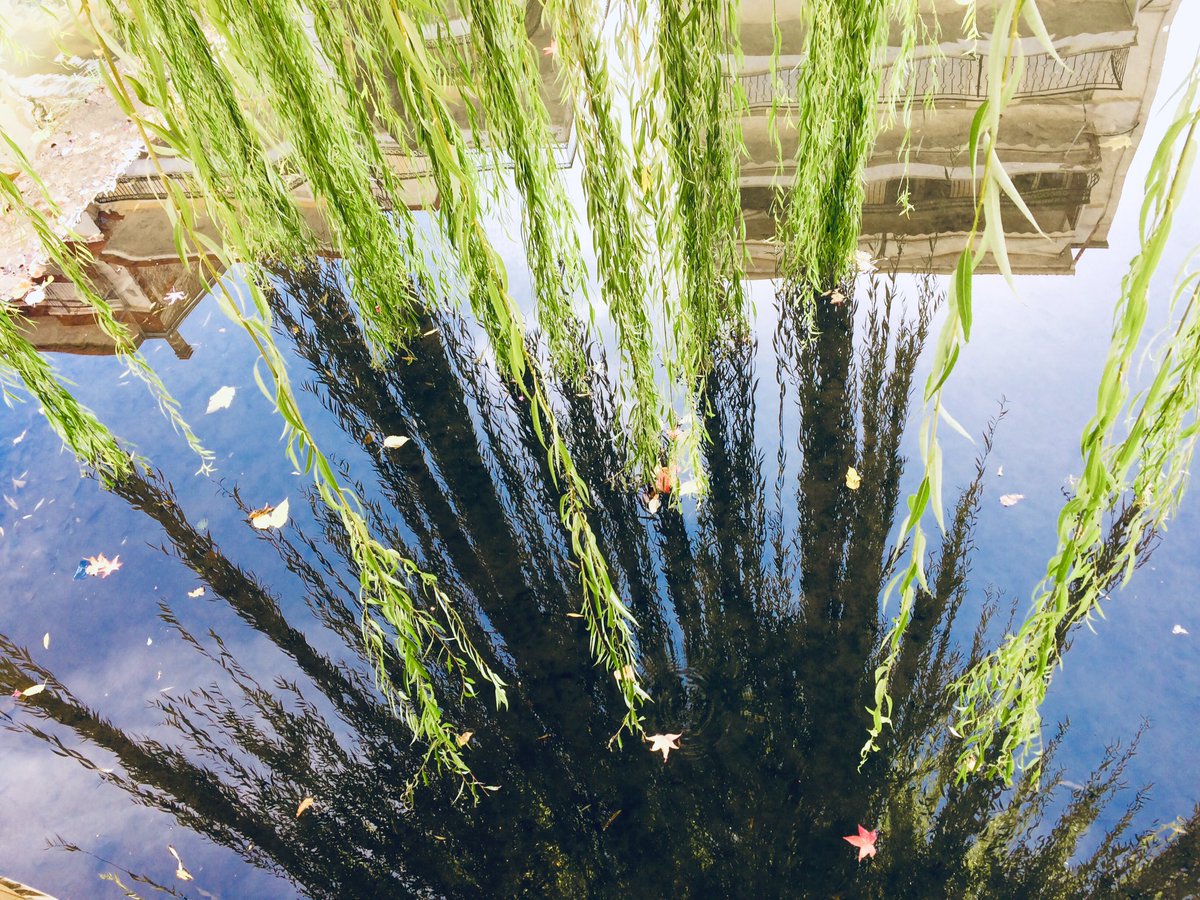 KiriakiMelliou's tweet photo. Walking slowly to the #Science conference enhances my understanding of science concepts
#slowlooking #bigunderstanding
#nature
#reflection
#direction https://t.co/CID69ft8Xx