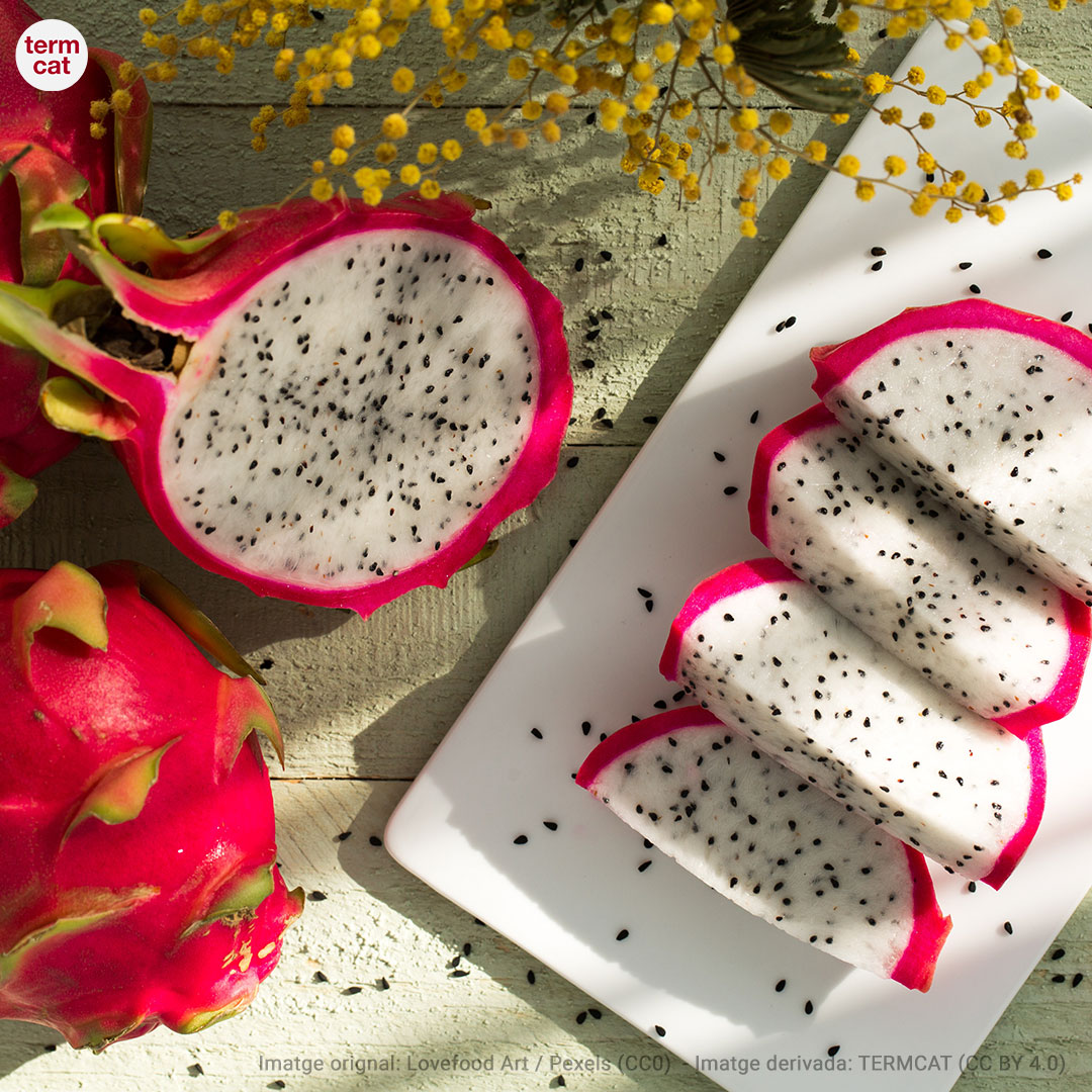 termcat's tweet photo. 🍊 Parlem de fruita de tardor 🍇 

➡️ Una fruita que també està al seu punt òptim ara és la 'pitahaia', el fruit comestible de la planta del mateix nom, una planta originària de l’Amèrica Llatina

En parlem al portal #TermGastronomia 👇
https://t.co/kudGJu1PXd https://t.co/GflIhhp0EE