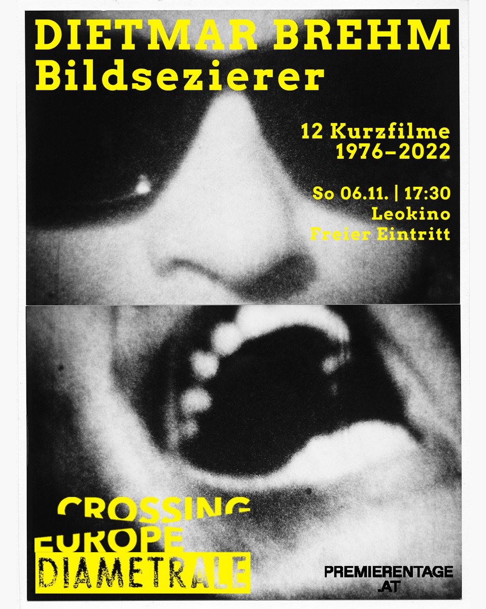 »Der radikale Bilderzeuger Brehm, der immer auf die Unerklärbarkeitsebene des Bildes verweist, gaukelt in seinem Bilderkosmos keine Paradiese vor, sondern bewirkt das Einsehen der Künstlichkeit von Bildern, was wohl für so manche Irritation sorgt.« (Hans-Peter Wipplinger)