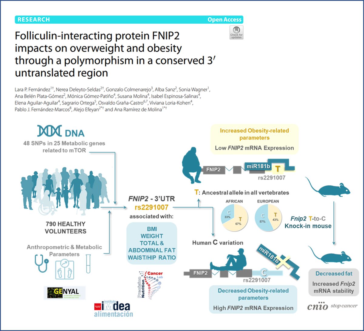 Precision Nutrition and Cancer Lab tweet media