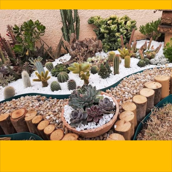 BlessingMeya5's tweet photo. Sayonara landscaping services l do landscaping garden designing garden mantainance,0773199249 https://t.co/zvqoRBjtpA