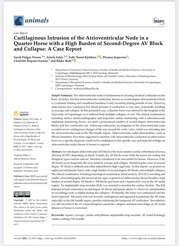 Sarah Dalgas Nissen (@dalgassarah) on Twitter photo 📝 In our latest case report we looked closer at pathophysiological changes in the AV node in a horse with high burden of AV block 🐎🫀
Read more about it 👇🏼
doi.org/10.3390/ani122…
<a href="/arnelasaljic/">Arnela Saljic</a> <a href="/TroestSofie/">Sofie Troest Kjeldsen</a> <a href="/HopsterIversen/">Charlotte Hopster-Iversen</a> @ThomasJesperse6 📝 In our latest case report we looked closer at pathophysiological changes in the AV node in a horse with high burden of AV block 🐎🫀
Read more about it 👇🏼
doi.org/10.3390/ani122…
<a href="/arnelasaljic/">Arnela Saljic</a> <a href="/TroestSofie/">Sofie Troest Kjeldsen</a> <a href="/HopsterIversen/">Charlotte Hopster-Iversen</a> @ThomasJesperse6