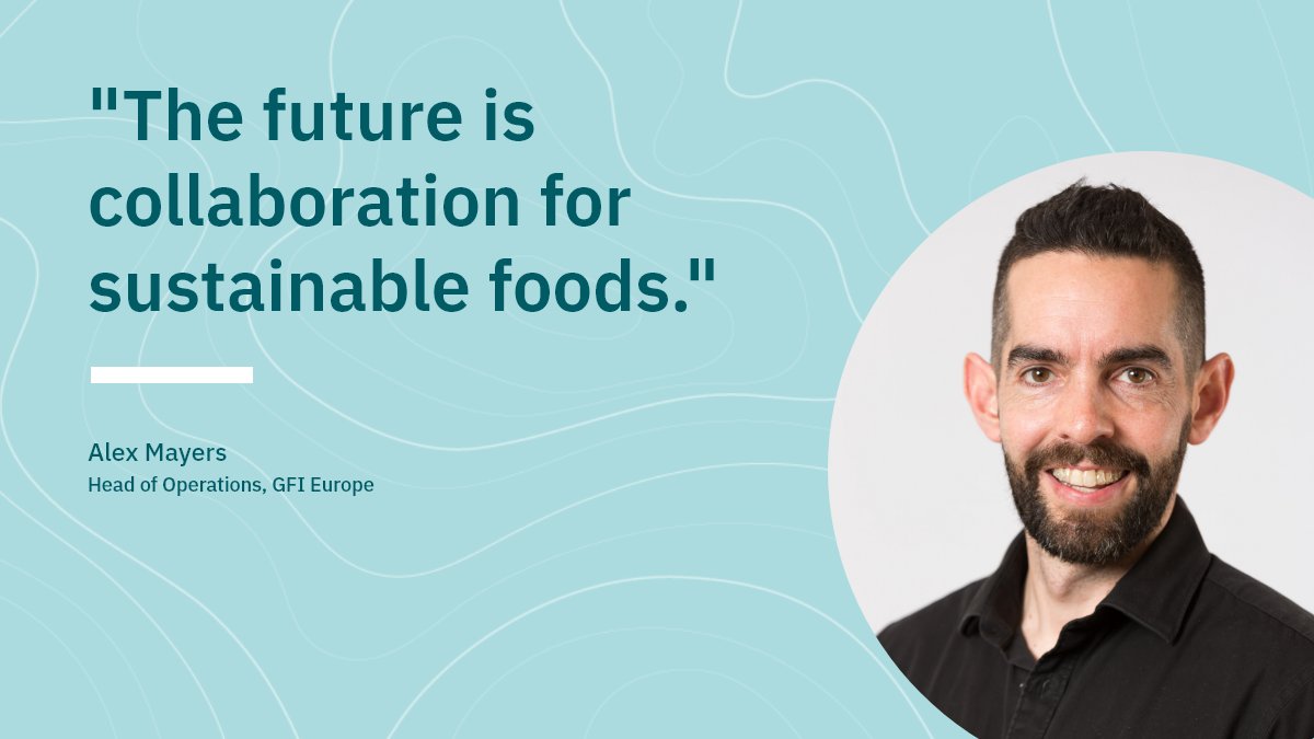 The Good Food Institute Europe tweet media