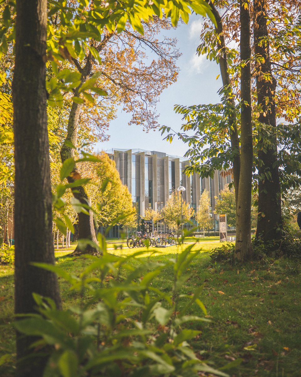 Friday morning at Templeman Library with this view 🍁 <a href="/UniKent/">University of Kent</a>