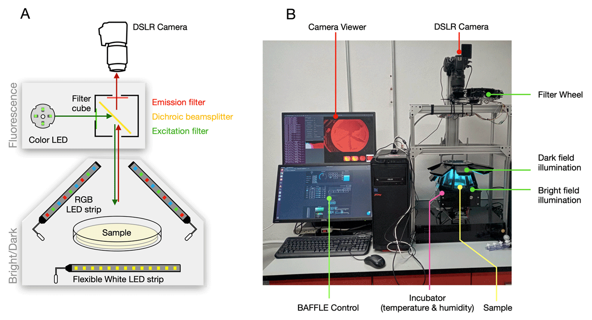 V_Saggiomo's tweet photo. this is a super cool build: 
"a 3D printable device for Macroscopic Quantification of Fluorescent Bacteria in Space and Time"

@journalopenhw @penamiller 

https://t.co/JSXSfyml9K https://t.co/oqrzRHxzD1