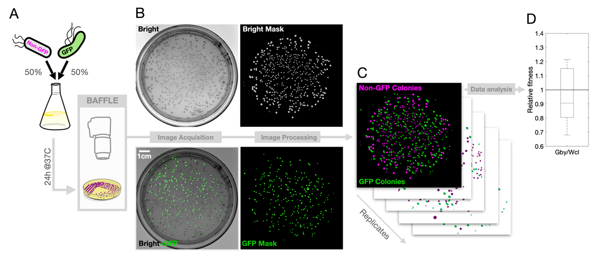 Vittorio Saggiomo (@Vsaggiomo@bsky.social) (@v_saggiomo) on Twitter photo this is a super cool build:
"a 3D printable device for Macroscopic Quantification of Fluorescent Bacteria in Space and Time"
<a href="/journalopenhw/">Journal of Open Hardware</a> <a href="/penamiller/">Rafael Peña-Miller</a>
openhardware.metajnl.com/articles/10.53… this is a super cool build:
"a 3D printable device for Macroscopic Quantification of Fluorescent Bacteria in Space and Time"
<a href="/journalopenhw/">Journal of Open Hardware</a> <a href="/penamiller/">Rafael Peña-Miller</a>
openhardware.metajnl.com/articles/10.53…
