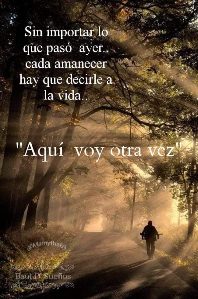 Molines01's tweet photo. Un excelente viernes galaxia twittera ⚘️✌️😎. https://t.co/Ht0QZrWFc0