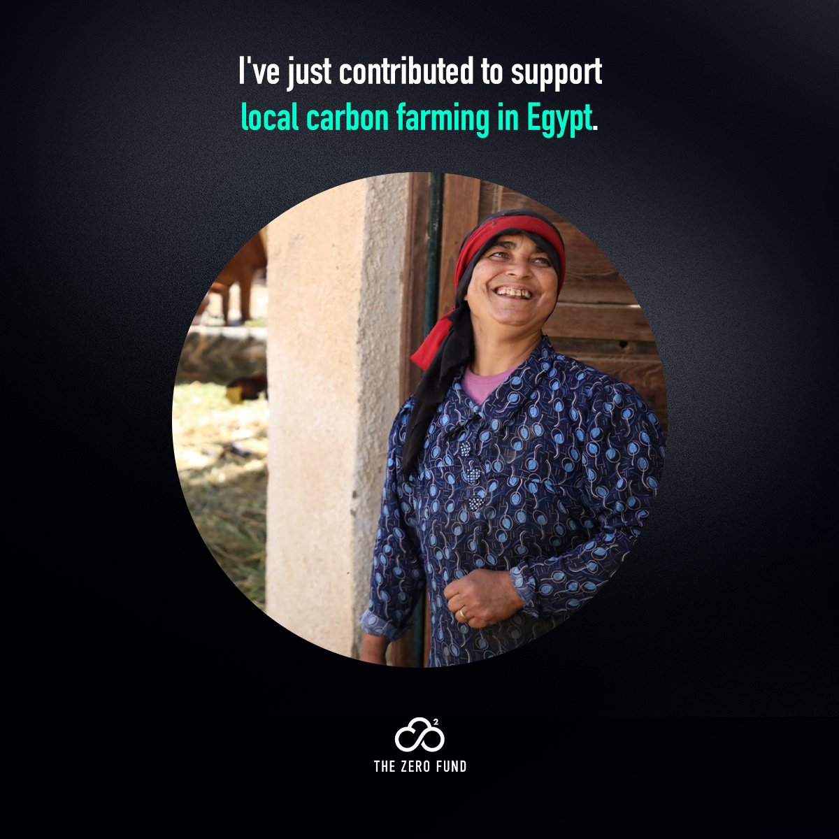 TheZeroFund (@zero_fund) on Twitter photo 