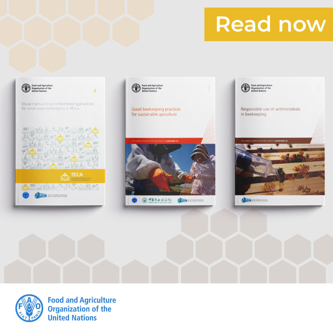 Browse this selection of <a href="/FAO/">Food and Agriculture Organization</a> publications 📘📘📘 offering guidance, tools and analysis on pollinators and sustainable beekeeping.

🐞🦋🐝

bit.ly/3bRDFTP