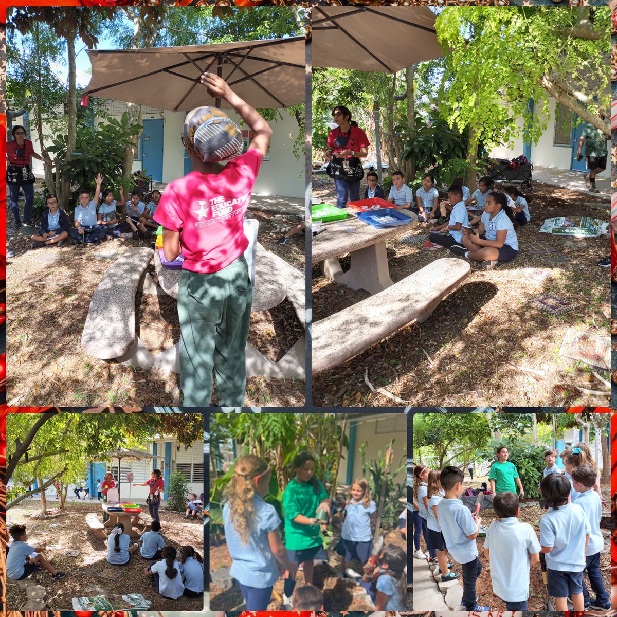 RoyalPalmElem's tweet photo. Our Food Forest comes to life with students and plants! The Perfect Planting Day...THANK YOU @EducationFund  #PartnersInEducation #Steam #LearnGrowExcelAtRPE #RoyalPalmElementary 
#ConnectandInspireMDCPS #MDCPS #MDCPSSouthRegion  @SuptDotres @MDCPSSouth @STEAMDesignated https://t.co/39VZwOSAqb