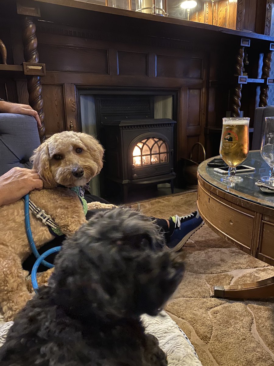 SidtheSod2's tweet photo. Chilling with the family https://t.co/i5BluaZOMz