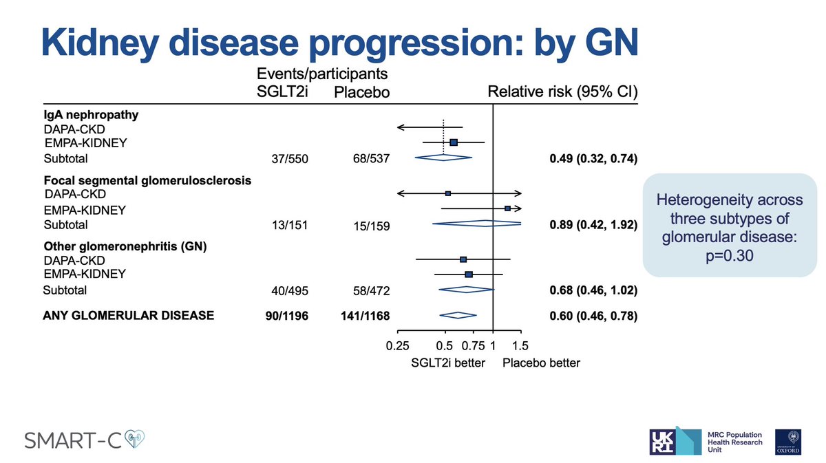 brendonneuen's tweet photo. SGLT2 inhibitors reduce CKD progression by ~40%, regardless of:

- Diabetes
- CKD aetiology
- Type of glomerular disease

And reduces AKI by ~20%

Presented by @NatalieStaplin on behalf of @Oxford_NDPH Renal Studies Group &amp; SGLT2 Trialists Consortium (SMART-C)

#KidneyWk https://t.co/XXoY9PGyta