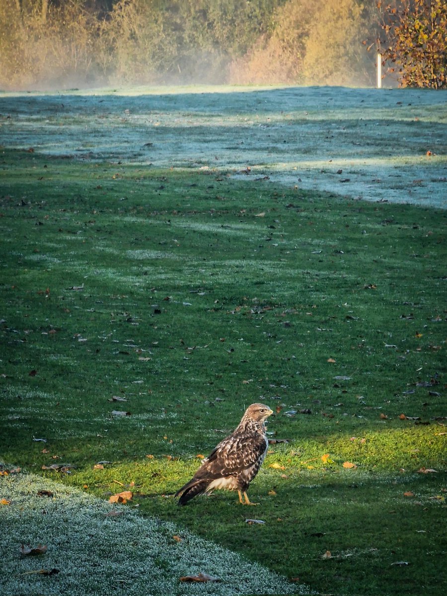 The superintendent came to inspect our work today! He was very happy!