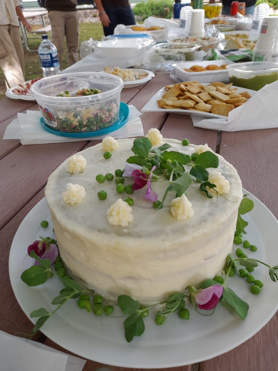 DiegoRubiales_'s tweet photo. #pea cooking party at @PDResistLab @IAS_CSIC . Today we enjoiyed a variety of tasty dishes made with peas

#pulses #legumes #legumbres @GoInpulse @eu_radiant @BiovalueProject https://t.co/HaAJiqLlsH