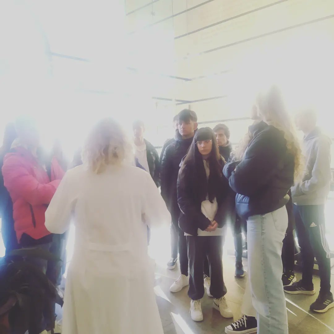 IES Legio VII tweet media