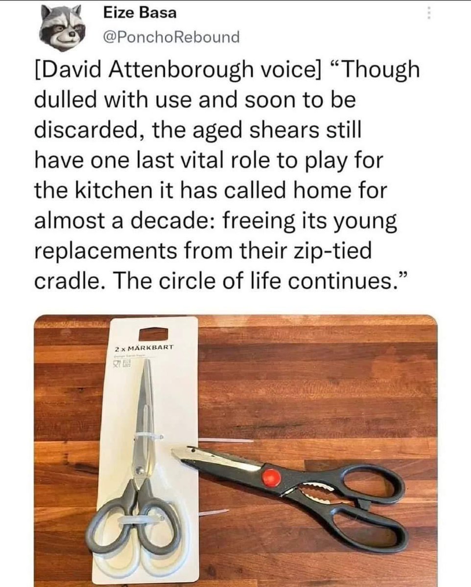kristamaggard's tweet photo. Idk if it’s because I’m getting older or if I just watch too many documentaries but these are the kind of memes I find funny now https://t.co/8j7mLJFHOB