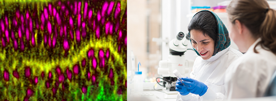 OpticalBiology's tweet photo. Applications are OPEN for the @wellcometrust @UCL PhD Programme in #OpticalBiology! Apply here: https://t.co/vX78vCf6lG
Want to know more about the Programme? Check out this short video! https://t.co/BeWhw8pp8z
@uclmaps @UCLLifeSciences @UCLBrainScience @LMCB_UCL https://t.co/hzxhUDYjgH