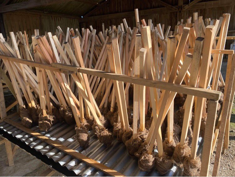 ONE day to go! Wow. It takes a lot of flaming fabulous volunteers who help keep #southoverbonfiresociety going all year and make it a night to remember, remember. So a big shout out to everyone pitching in. 🙏
#sussexbonfire #lewes #lewesbonfire #fifthnovember #BonfireNight