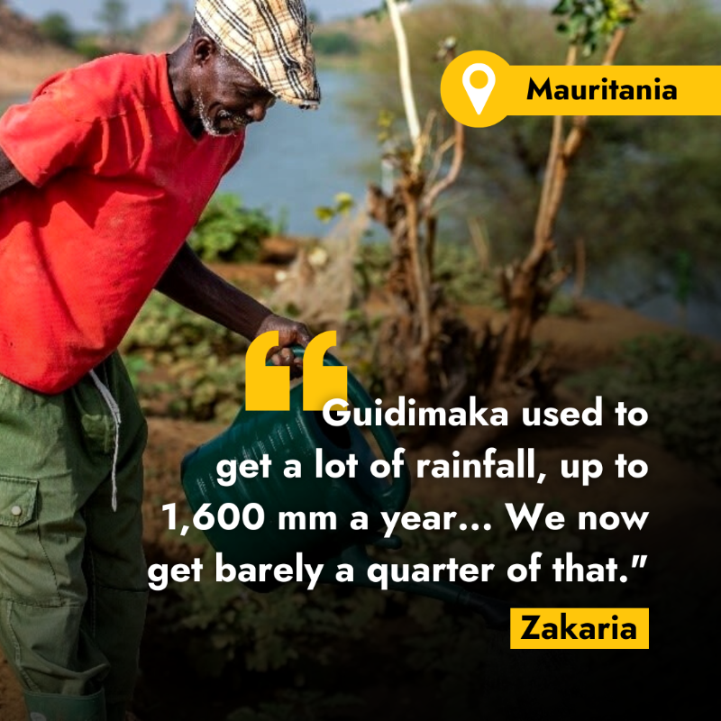 IFAD's tweet photo. At #COP27, the world must commit to helping rural people adapt to this new normal.