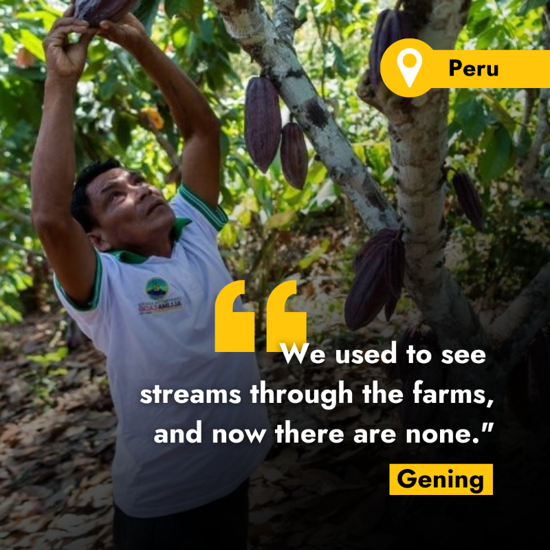 IFAD's tweet photo. At #COP27, the world must commit to helping rural people adapt to this new normal.