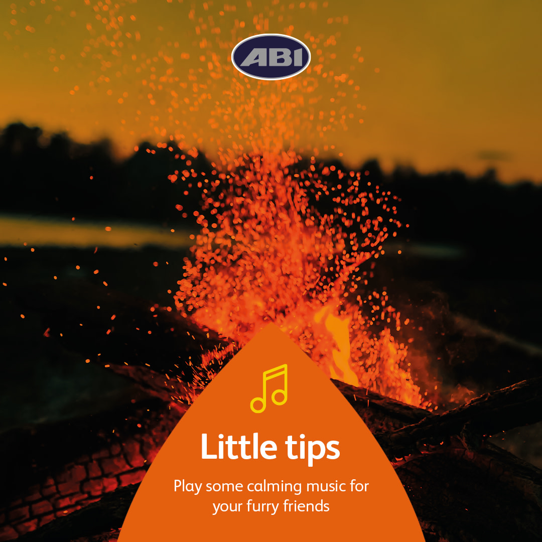 ABIHolidayHomes's tweet photo. Here are some tips for looking after your furry friends this bonfire night 😺🐶 

👉 Play a relaxing-noises playlist 
👉 Create a cosy place for your pet to curl up and relax
👉 Shut any blinds/curtains to block out any sudden flashes https://t.co/hRxHzqK6dc