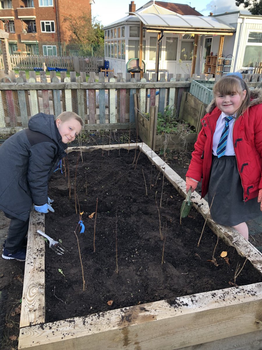 Today we planted trees in our new allotment area. Hopefully when they have grown a little, we can transplant them around the field. Thank you to our Gossey -Gardeners for helping.