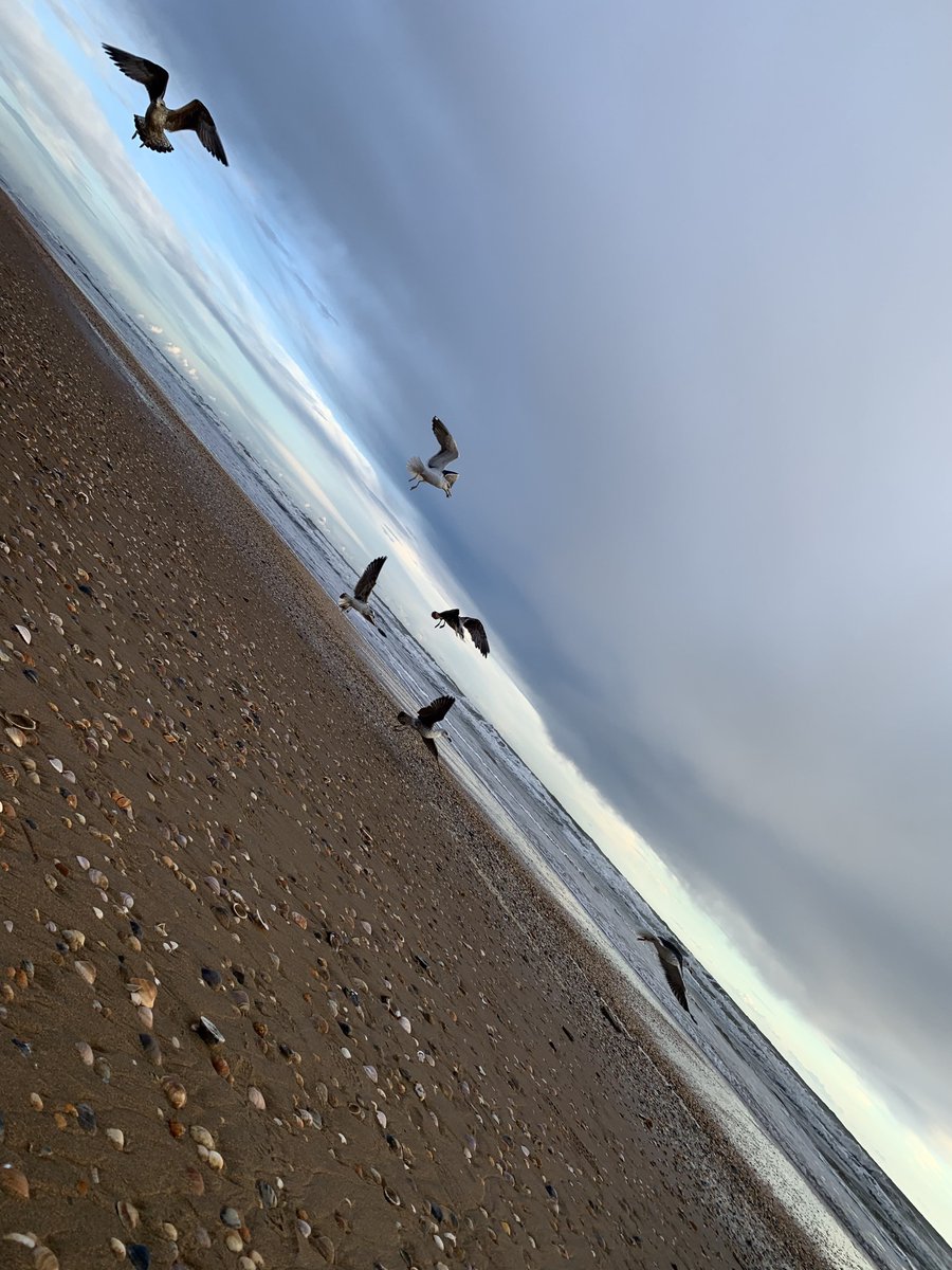 Punta Umbría y su tranquilidad ❤️

<a href="/Meteohuelva/">MeteoHuelva.es</a>