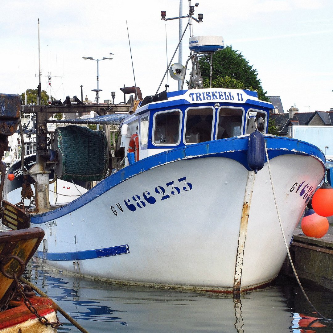 vericatch's tweet photo. As per this article on @TheFishSite, improved traceability could boost global seafood profits by 60%. Accurate catch reporting is the cornerstone of traceability which is why we've built easy-to-use, #catchreporting tools that add value to fisheries.
https://t.co/ygJgsVzaVy https://t.co/P4N4NhSNsx