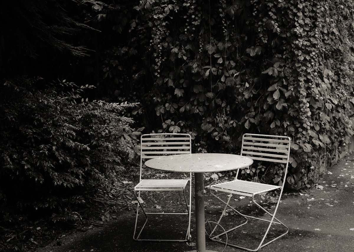 jmhicks5's tweet photo. A table for two

Seattle Oct • 2022

#seattle #pnw #blackandwhite #photography #photo #streetphotography #mirrorless #nature #freewaypark #seattleconventioncenter #vines https://t.co/xgfNfRgwQh