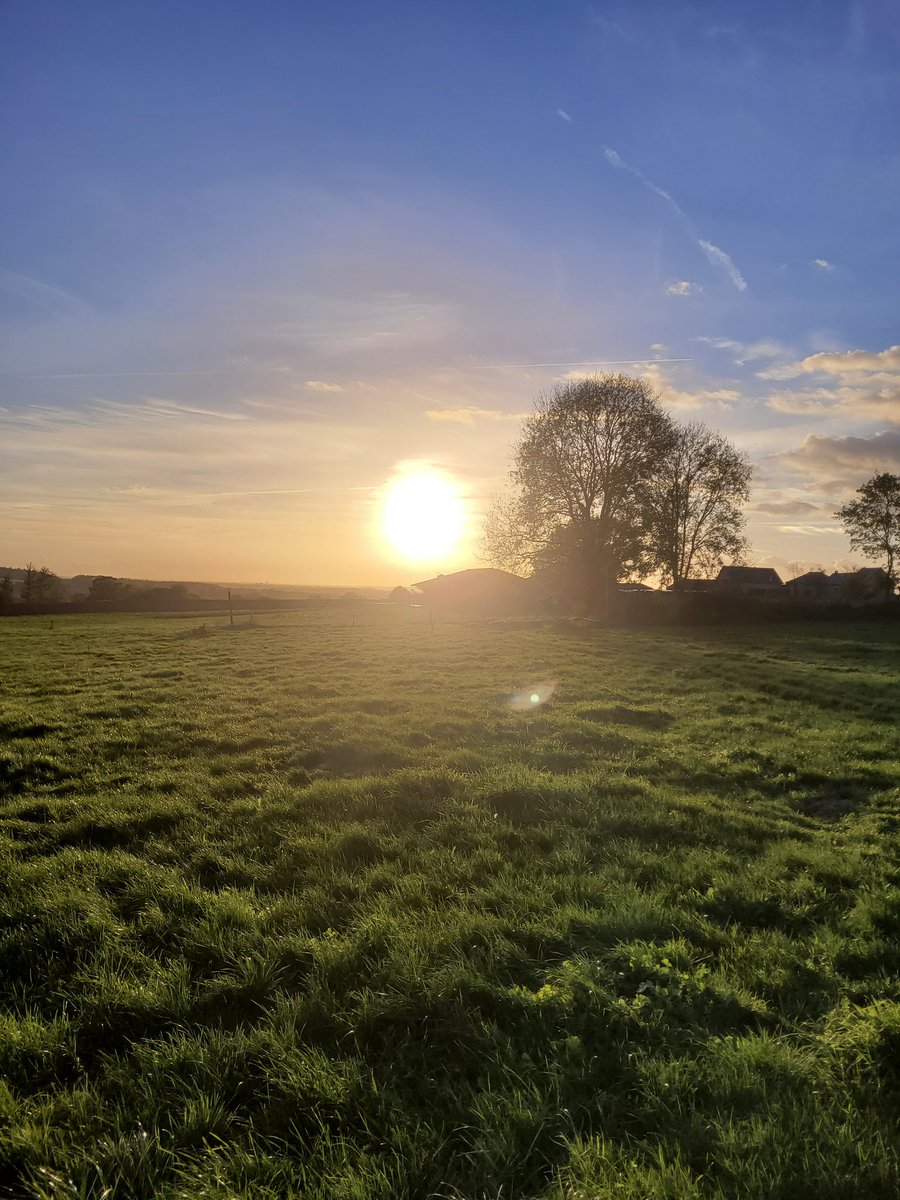 Je ne me lasse pas de mon bureau de travail.😃😃☀️