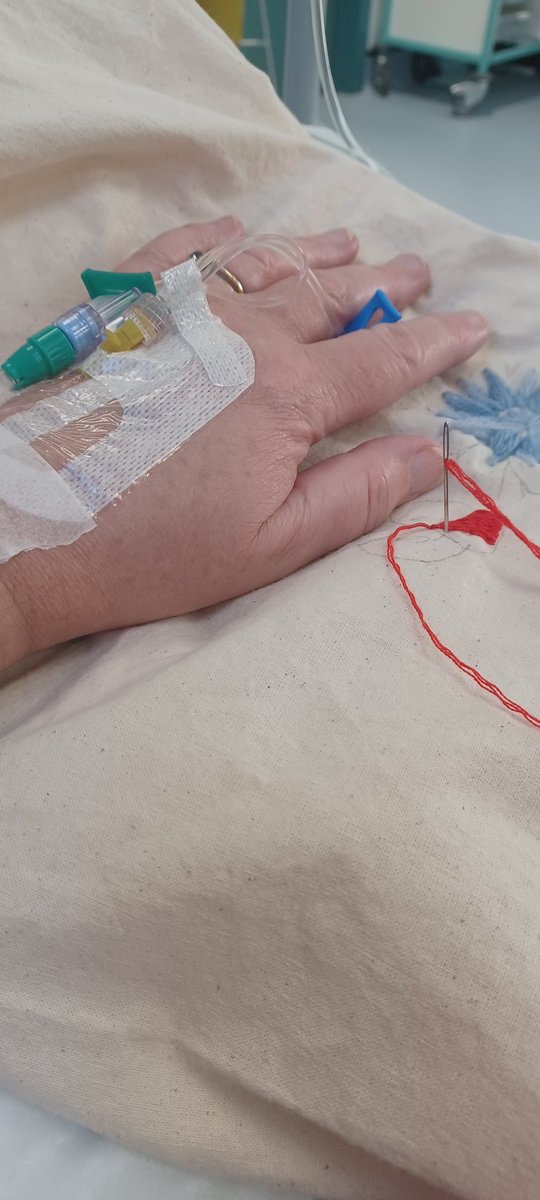 Den 💙 tweet media