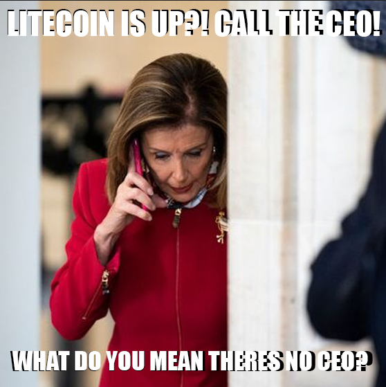 johnez_ltc's tweet photo. $LTC #Litecoin #LitecoinFam #LTC https://t.co/FMkPFzgEZ2