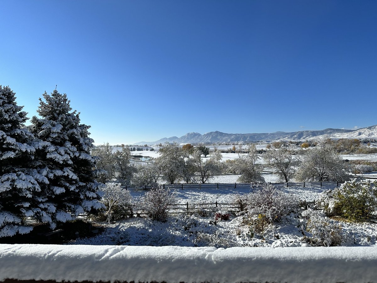 Dan Putt tweet media