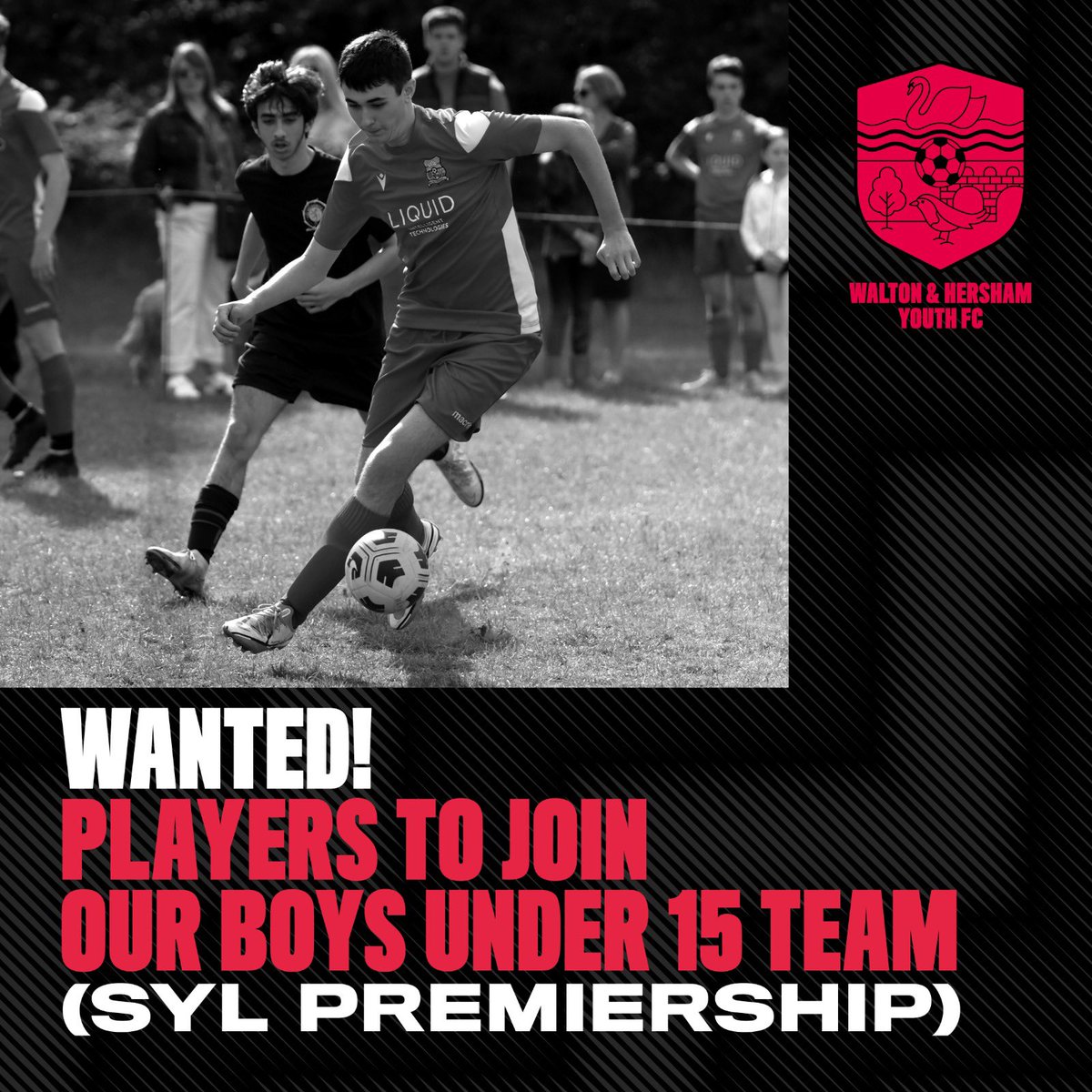 We’re looking for an experienced striker or attacking midfielder to join our under 15 team.

The U15 Swans play in the Premier of the Surrey Youth League. 
<a href="/SurreyFootball/">Surrey Youth League</a> <a href="/waltonhershamfc/">Walton & Hersham FC</a> <a href="/WaltonHershamYt/">Walton & Hersham Youth</a> #youthfootball #syl #grassrootsfootball #skillzonesoccer