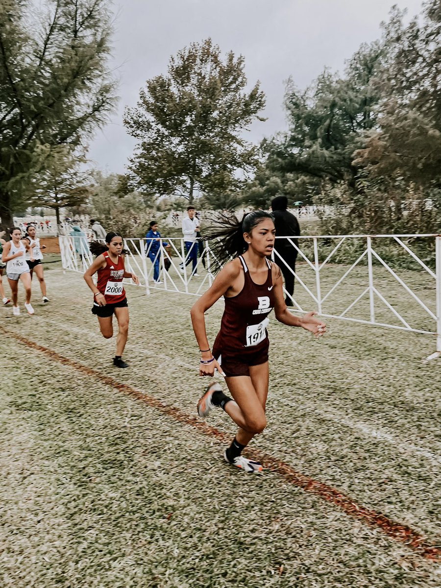 Sandy Anderson tweet media