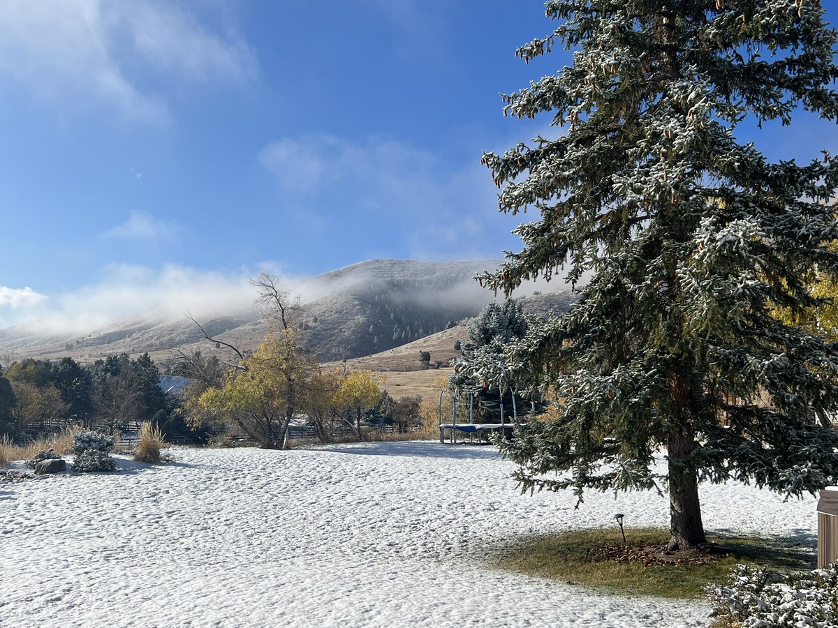 Henry Hauser tweet media