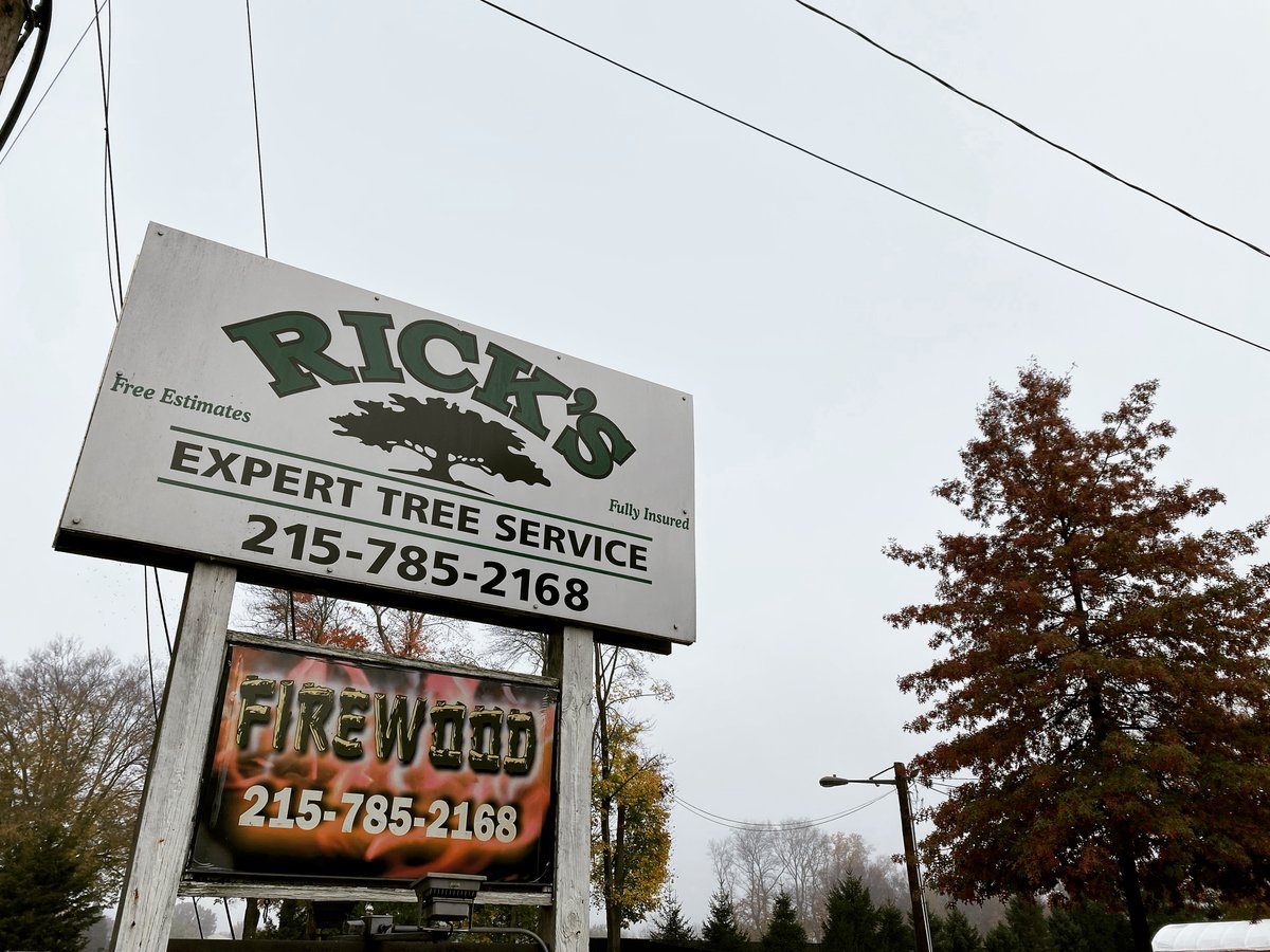 RicksExpertTree's tweet photo. Foggy morning this Friday. Leaves are falling &amp; colors are beautiful! Swing by the yard to pick up firewood for the World Series games this weekend. Call for your free quote before the winter storms 215-785-2168 or our website https://t.co/90bDwGwRnN https://t.co/D61ixZX6wR