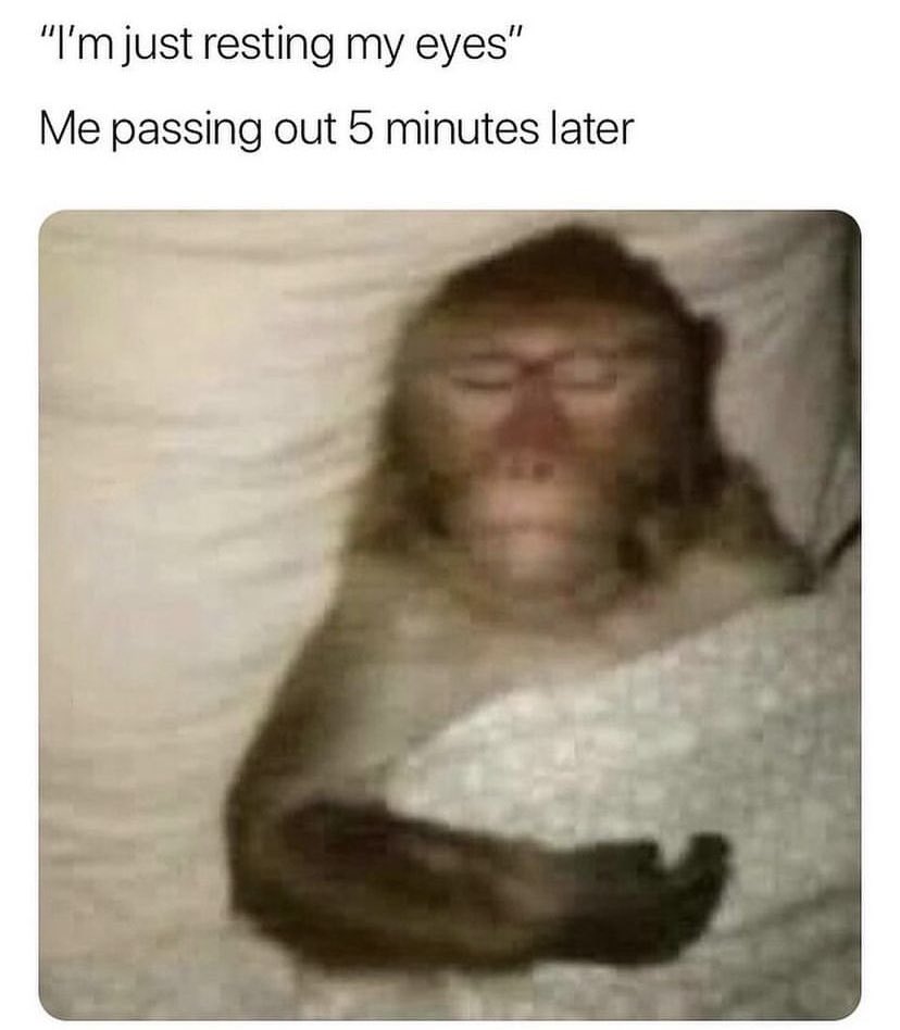 HintofHumour's tweet photo. #meme #memes #funny #dankmemes #memesdaily #funnymemes #lol #humor #follow #dank #love #like #memepage #comedy #instagram #dankmeme #tiktok #anime #lmao #dailymemes #edgymemes #fun #ol #offensivememes #memestagram #bhfyp #funnymeme #instagood #shitpost #memer https://t.co/XgbnpgAgIL