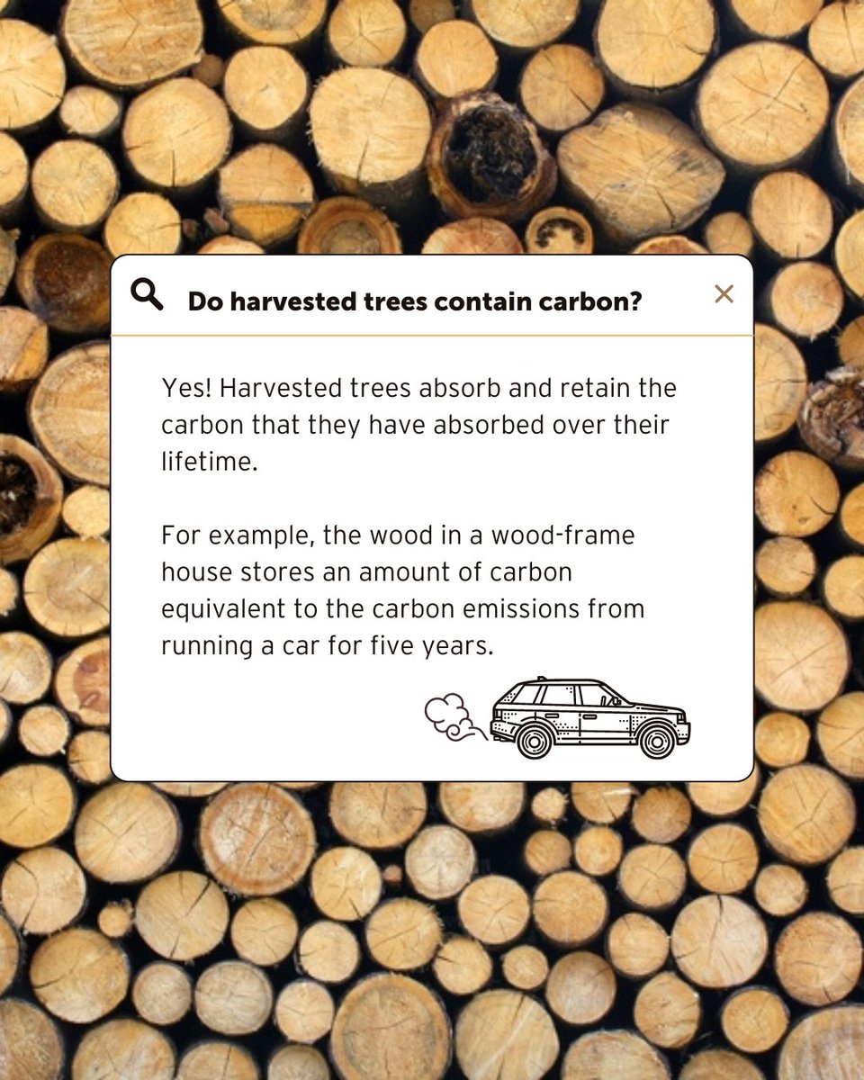 albertaforests's tweet photo. Once a tree is harvested, the #carbon they have absorbed through its lifetime is captured and locked away even after they are produced into #woodproducts!🪵🏘️🪑 Learn more below ⬇️
#Buildingwithwood #Ecofriendly #Woodisgood https://t.co/65Ru6txZkt