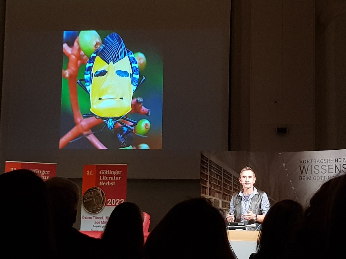 Wie begeistert man Menschen für Biodiversität?

<a href="/DaveGoulson/">Dave Goulson</a> hat viele Argumente ins Feld geführt - unter anderem auch eine Wanze, die aussieht wie #Elvis.