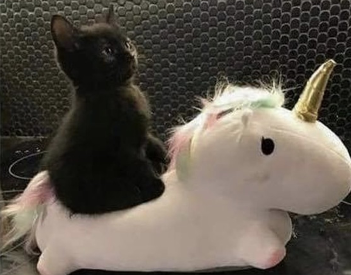 Guarromantico_'s tweet photo. Cuando eres súper darks pero tienes un lado tierno que se escapa de vez en cuando. https://t.co/6N1euy8Dl9