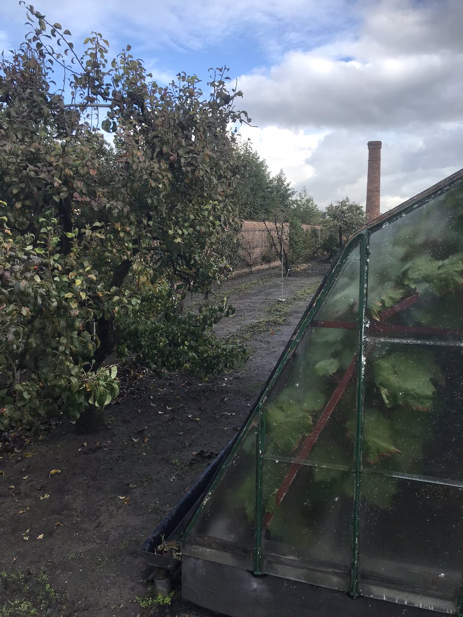 Op een steenworp afstand van de plaats waar mijn opa tuinde (aan de Korte Noordweg in Wateringen) staat Historische Druivenkwekerij Sonnehoeck in Kwintsheul. Een deel van het complex dateert van 1729 (het woonhuis en de schuur) en de status Rijksmonument geldt zelfs... 1/3